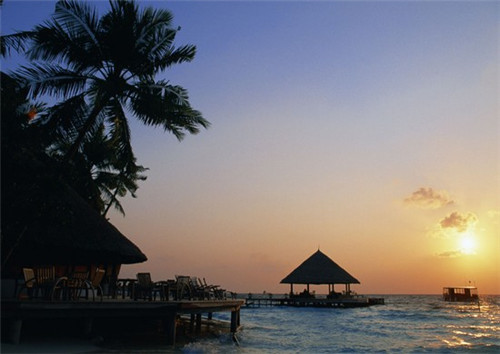 加盟鸡老大香鸡排收益怎么样，加盟鸡老大香鸡排开店多久回本