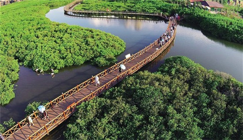 薇颂美容加盟费多少，微颂祛痘产品