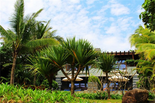 练功一定要专心是什么歌（练功时要做到）