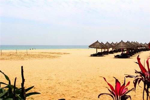 aci是什么意思（aci是什么意思中文）