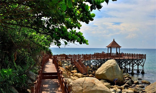 紫甘蓝炒马蹄可以吃吗（紫甘蓝炒马蹄可以吃吗图片）