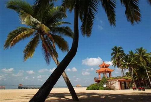 虾仁芦笋炒丝瓜怎么炒（清炒虾仁芦笋）