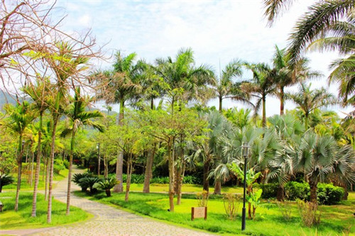 抖音退款影响消费吗（抖音退款能退回来不）