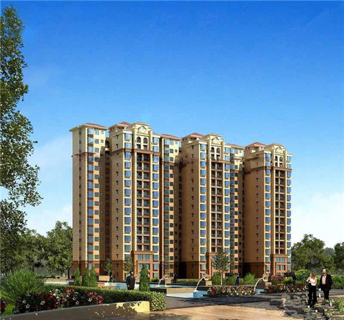 大通回族土族自治县创业代餐粉哪家品牌性价比高