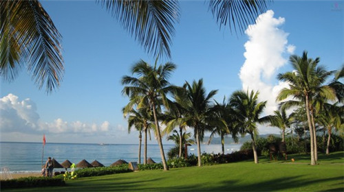 黄冈市鱼肝油加盟什么店比较好